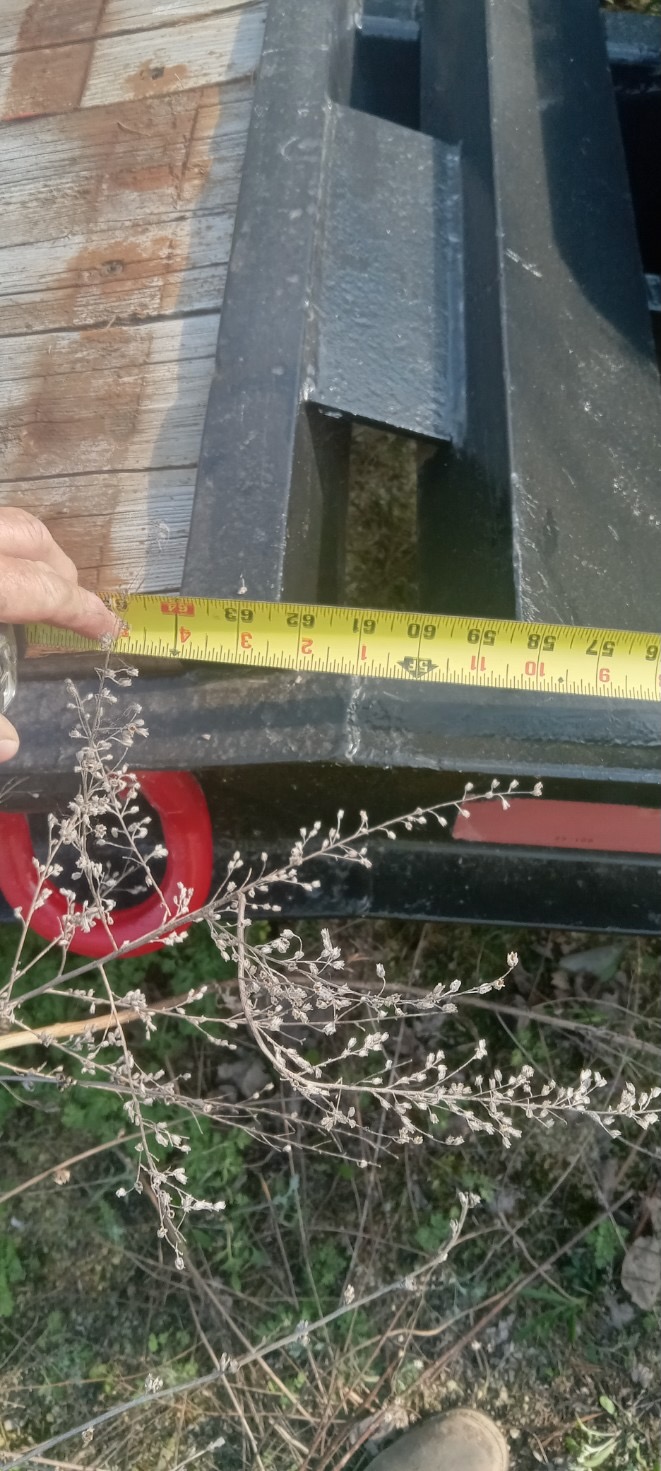 2004 FELLING 15T - Image 6